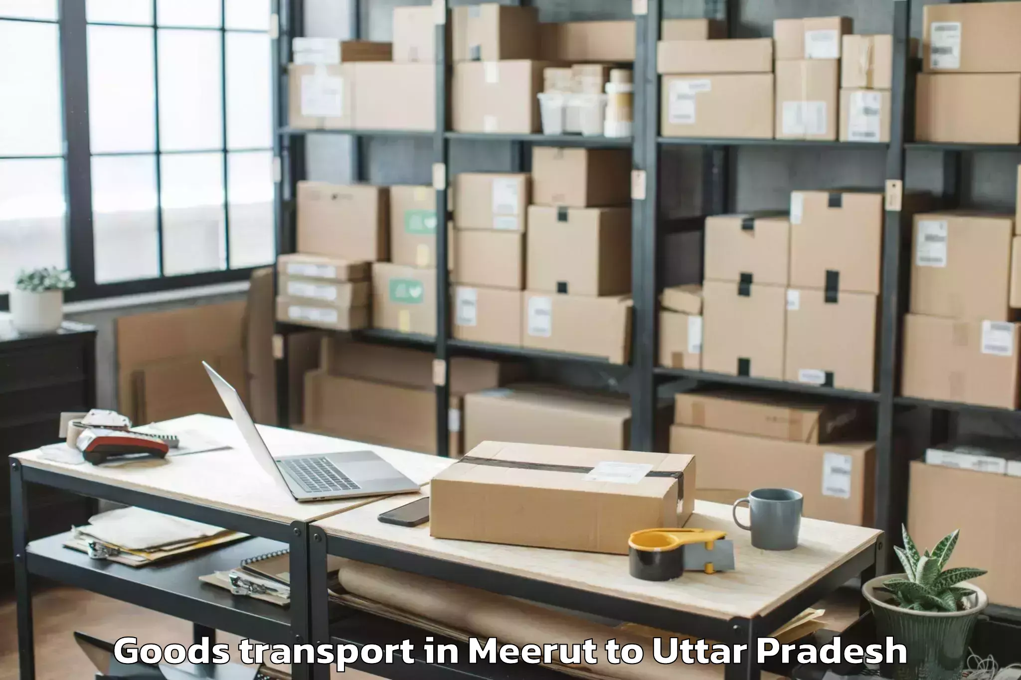 Top Meerut to Afzalgarh Goods Transport Available